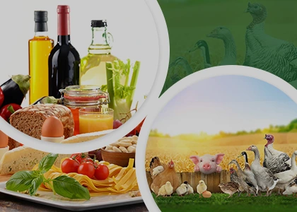 Food and Feed Additives